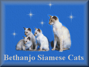 bethanjobanner.gif (27740 bytes)