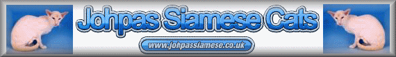 johpasbanner.gif (22733 bytes)