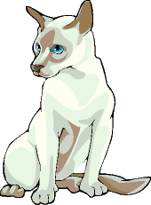 newcat7.gif (6199 bytes)