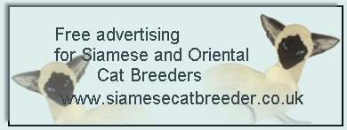siamesecatbreeder.jpg (10544 bytes)