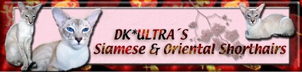 ultrabanner1.jpg (21344 bytes)